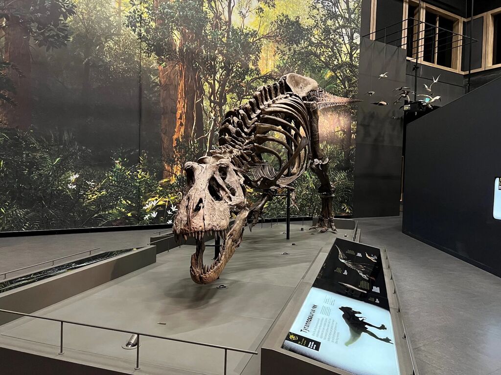 8 Event Freight - Behind the scenes | NATURALIS